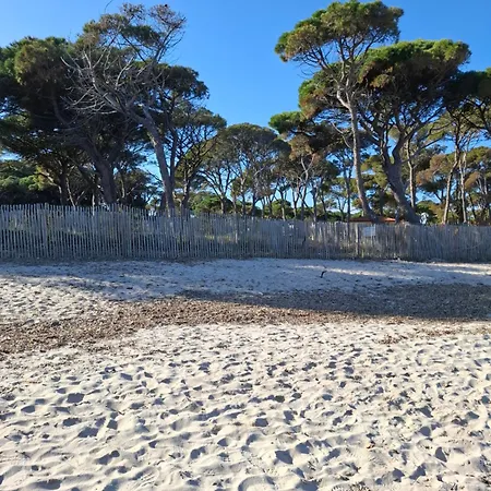 Les Iles D'or Au Port De Grand Climatise