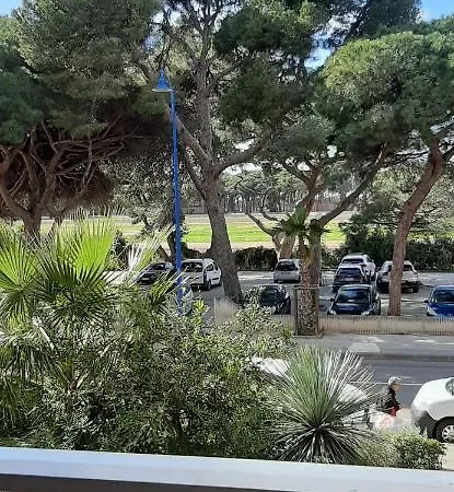 Les Iles D'or Au Port De Grand Climatise Apartment