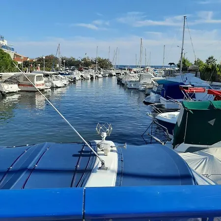 Les Iles D'or Au Port De Grand Climatise *