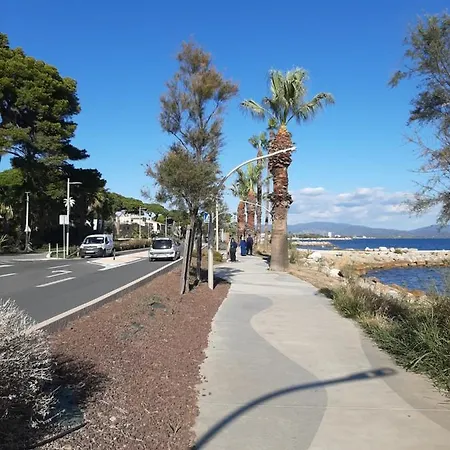 Les Iles D'or Au Port De Grand Climatise